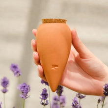 Lade das Bild in den Galerie-Viewer, Wasserspender Olla (Mini) aus Ton, Pepin