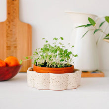 Lade das Bild in den Galerie-Viewer, Pflanztopf George, Pepin