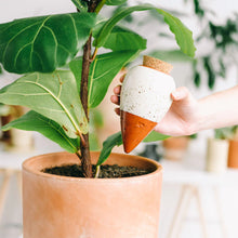 Lade das Bild in den Galerie-Viewer, Wasserspender Olla aus Ton, Pepin