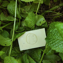 Lade das Bild in den Galerie-Viewer, Food Forest - Helleo Olivenölseife (limitiert)