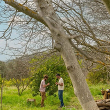 Lade das Bild in den Galerie-Viewer, Food Forest - Helleo Olivenölseife (limitiert)