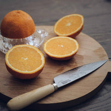 Lade das Bild in den Galerie-Viewer, Pallares - Küchenmesser aus Carbon und Holzgriff